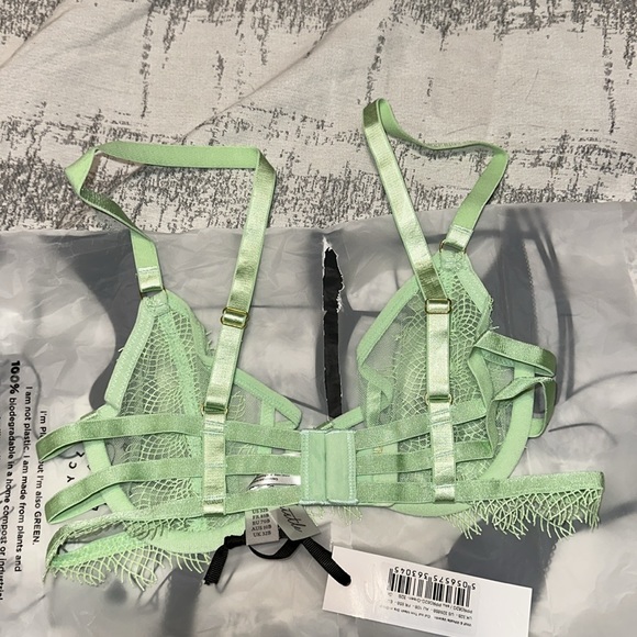 Wolf & Whistle Valentina Cut out Trim Mesh Bra in Green - Picture 2 of 4